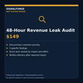 48-Hour Revenue Leak Audit - $149