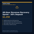 48-Hour Revenue Recovery Sprint 50 percent deposit - $1,250